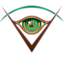 Logo VISIONARY COPPER+GOLDON