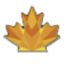 Logo Maple Gold Mines