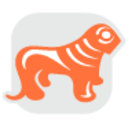 Logo Bank of Georgia