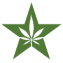 Logo American Green