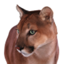 Logo Puma Biotechnology