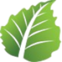 Logo LATVIAN FOREST CO. AB B