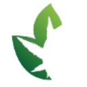 Logo Amazonas Florestal
