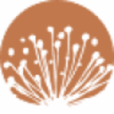 Logo Caravel Minerals