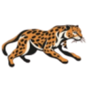 Logo CYBER APPS W. NEW DL-,001