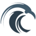 Logo BLACKPOLL FLEET INTL