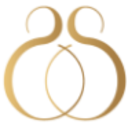 Logo South Shore Holdings Ltd (42425803)