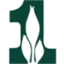 Logo FIRST F.FIN.CORP.DL1