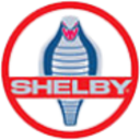 Logo CARROLL SHELBY DL-,001