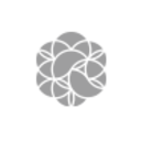 Logo Fu Shou Yuan Intl Group