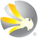 Logo MITCHELL SERVICES