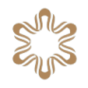 Logo CHINA NEW CITY COM