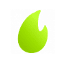 Logo A.H.T. Syngas Technology N.V.