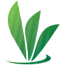 Logo Replenish Nutrients