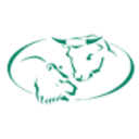 Logo Berliner Effekten