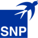 Logo SNP Schneider-Neureither & Partner
