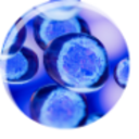 Logo MESO NUMISMATICS INC.