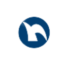 Logo Nippon Shinyaku