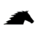 Logo Norfolk Southern