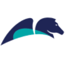 Logo Pegasystems