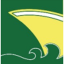 Logo Precious Shipping PCL