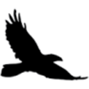 Logo RAVENSOURCE FUND TR. UTS