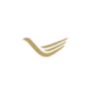 Logo FEISHANG ANT.RES HD-,001