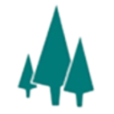 Logo Pine Technology