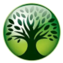 Logo KYUSHU FINANCIAL GRP INC.