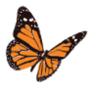 Logo Algernon Pharmaceuticals A