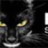 Logo BLACK CAT SYNDICATE LTD