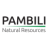 Logo Pambili Natural Resources