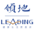 Logo LEADING HOLDINGS DL-,01