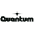 Logo Quantum Critical Metals