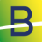 Logo BRAZILIAN R.E. ADR 1
