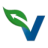 Logo VOYAGEUR PHARMACEUTICALS