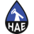 Logo Houston American Energy