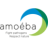 Logo Amoeba