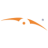 Logo Alvarion