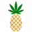 Logo Pineapple