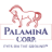Logo Palamina