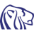 Logo Northern Dynasty Minerals