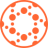 Logo Solid Biosciences