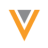Logo Veeva System