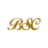 Logo BANK OF SOUTH CAROLINA