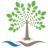 Logo BEYONDSPRING INC.DL-,0001