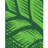 Logo WHOLE EARTH BR.A DL-,0001