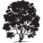 Logo HLS Therapeutics