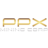 Logo PPX Mining