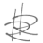 Logo RAFFLES FINL GRP O.N.